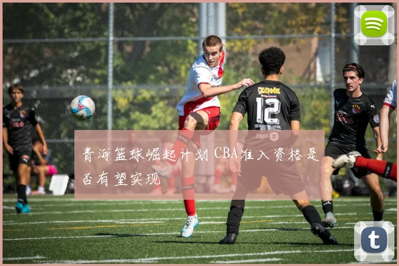 青海篮球崛起计划 CBA准入资格是否有望实现