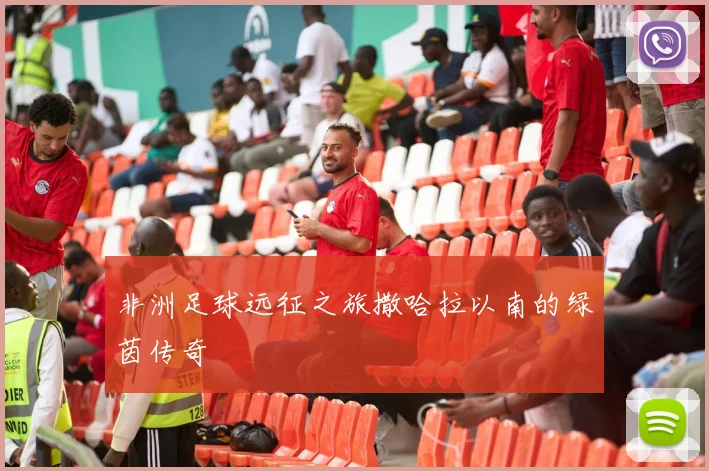 非洲足球远征之旅撒哈拉以南的绿茵传奇