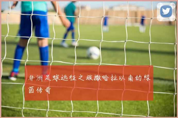 非洲足球远征之旅撒哈拉以南的绿茵传奇