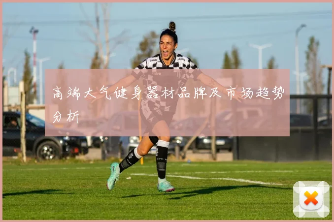 高端大气健身器材品牌及市场趋势分析