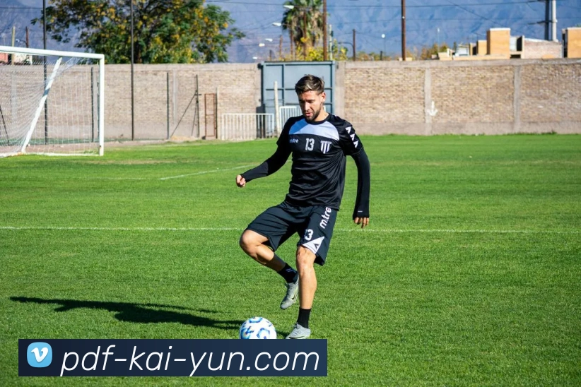 开云平台生态图